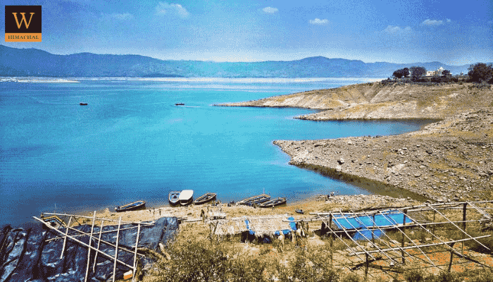 Bliaspur Dam, HP